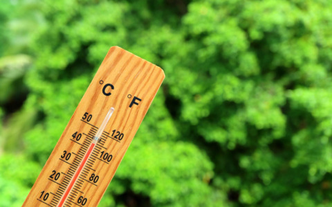 Coldiretti avverte: il caldo minaccia coltivazioni e allevamenti