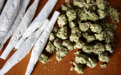 Hashish e contanti ai Giardini Nei: denunciato 18enne a Monza