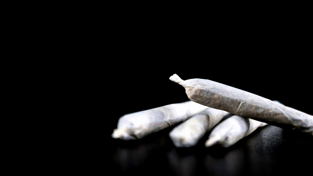 Arrestato 20enne con cocaina e hashish in casa