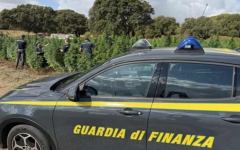 Scoperta rete di società cartiere con fatture per oltre 30 milioni