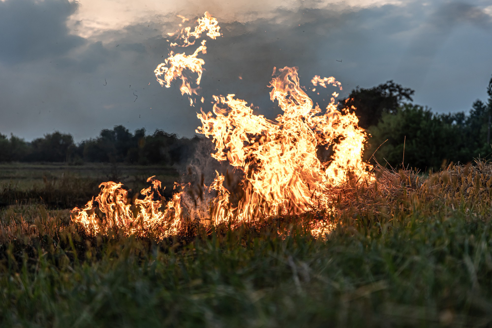 Allerta gialla per rischio incendi in Brianza