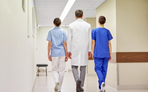 Pronto soccorso invaso da zanzare, attivata disinfestazione urgente