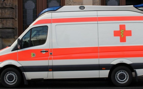 Coppia ritrova il gatto e ringrazia il quartiere