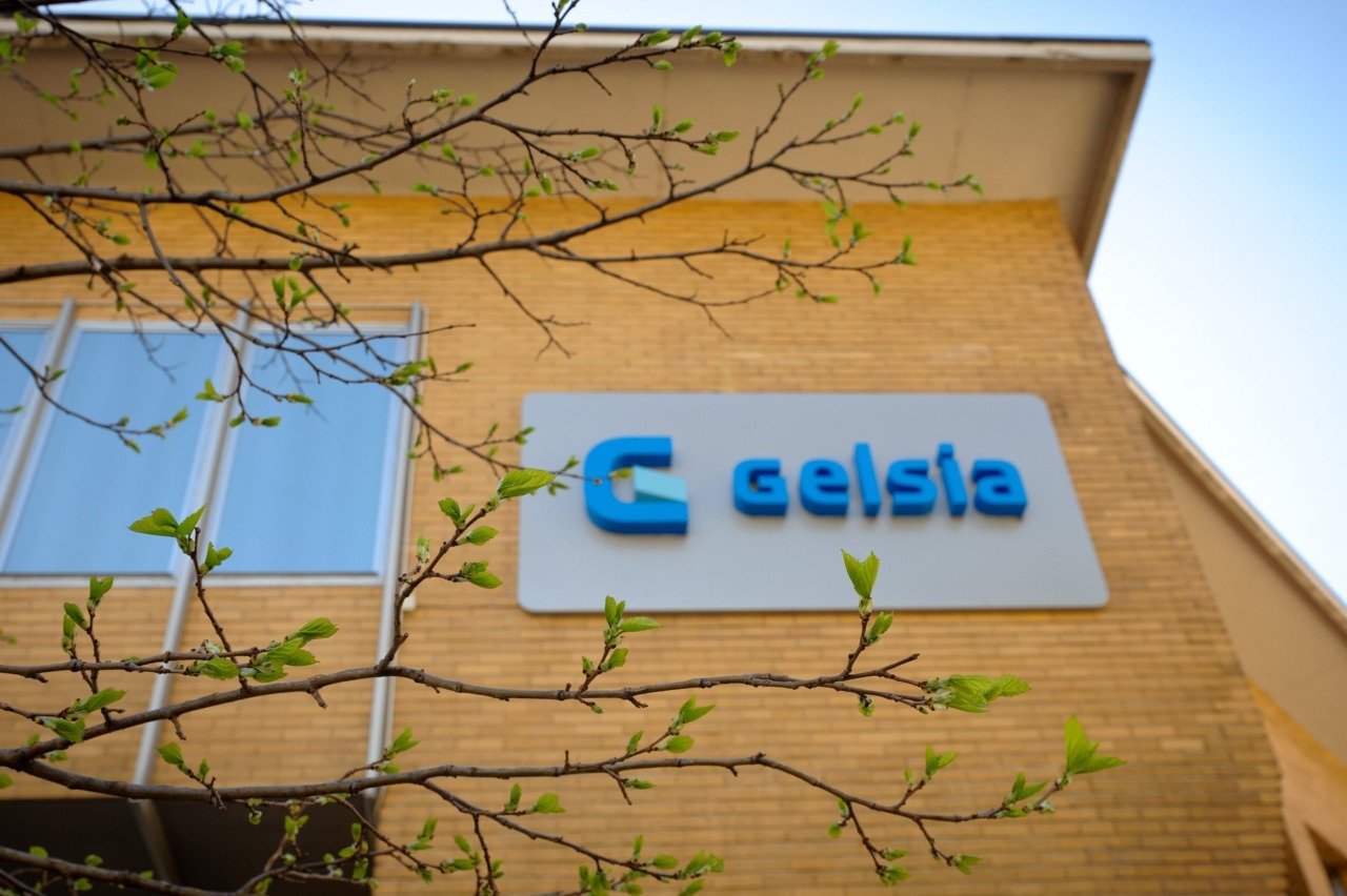 Gelsia mette in guardia dai falsi operatori e spiega come difendersi