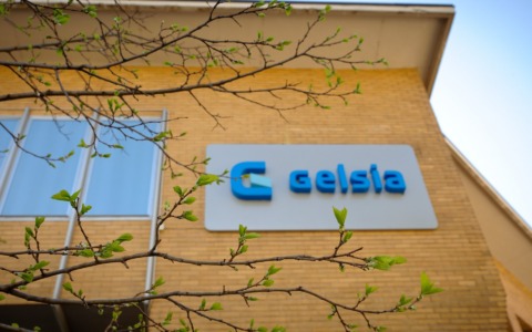 Gelsia mette in guardia dai falsi operatori e spiega come difendersi
